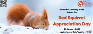 RED SQUIRREL APPRECIATION DAY 2025 visual data 3