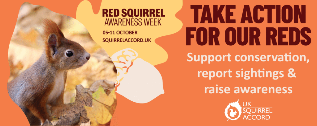 Red Squirrel Awareness Week cover image