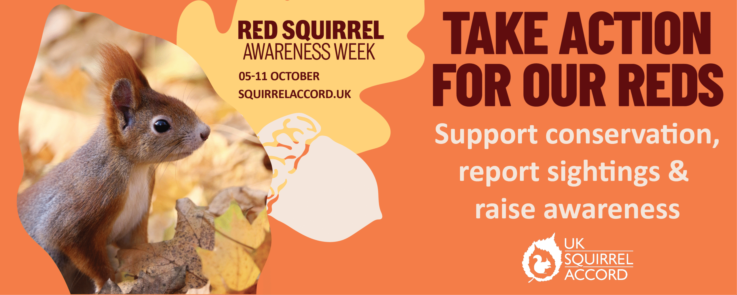 Red squirrel in leaf shape with text promoting Red Squirrel Awareness Week and taking action to support red squirrel conservation