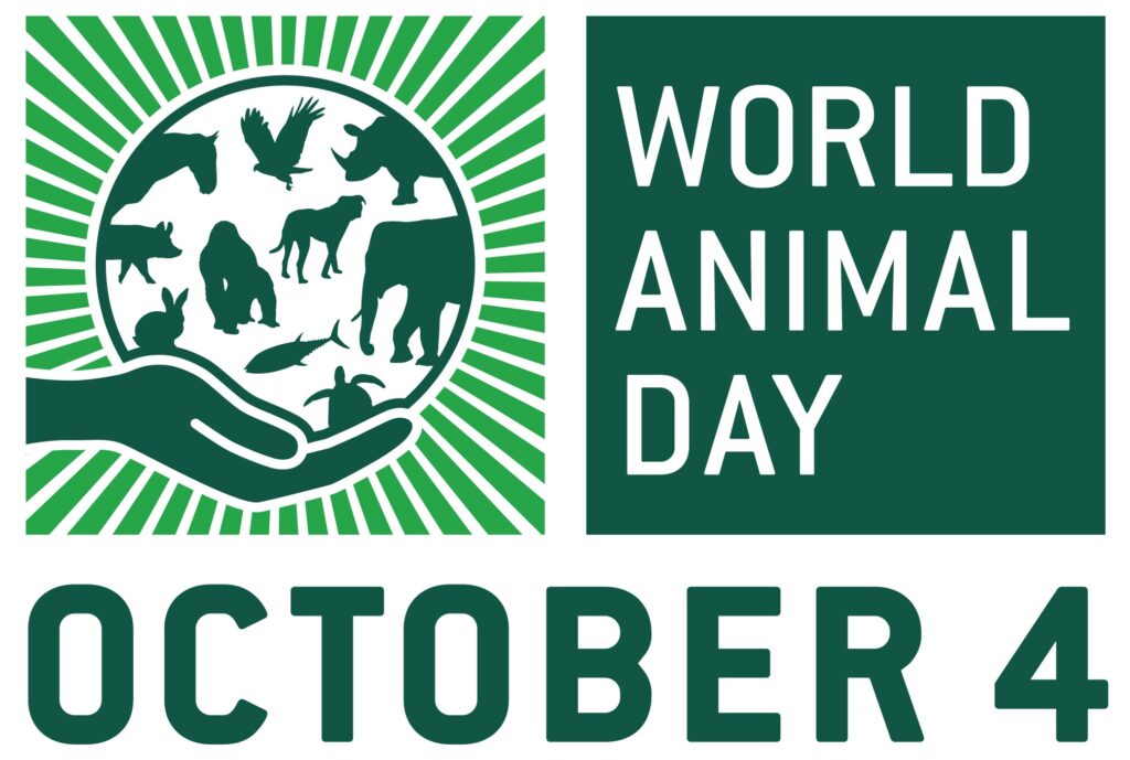 World Animal Day cover image