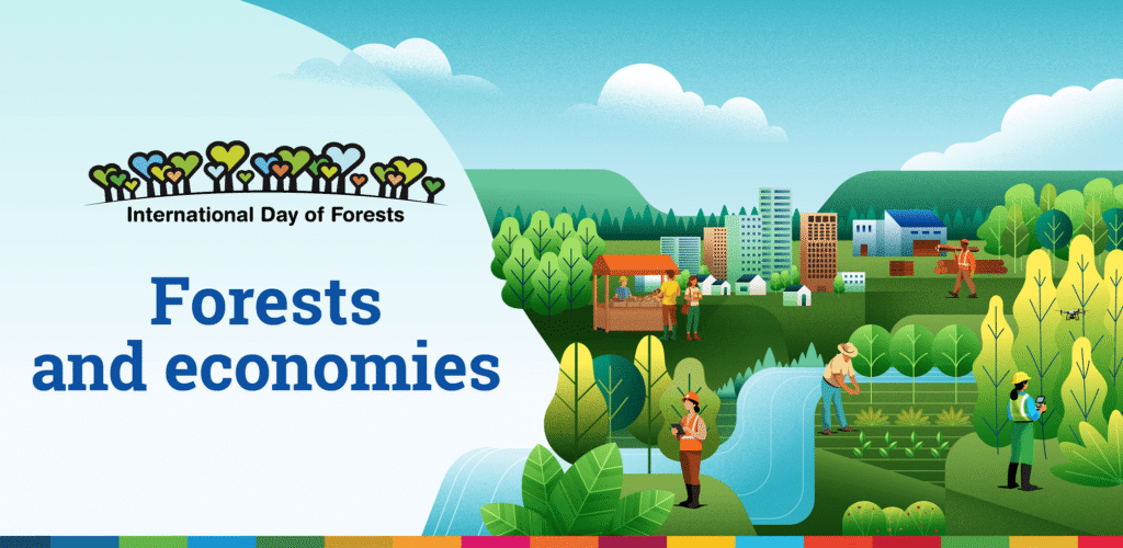 International Day of Forests cover image