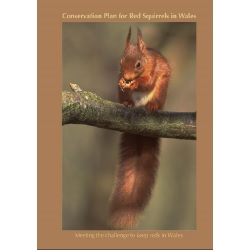 Conservation plan for red squirrels in Wales 2009 – action plan – Wales Squirrel Forum with Wales Squirrel Partnership