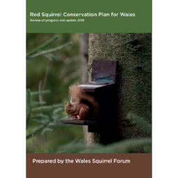 Conservation plan for red squirrels in Wales: review of progress and update 2018 – action plan – Wales Squirrel Forum