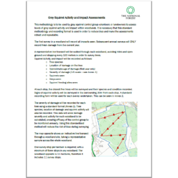 Grey Squirrel Activity and Impact Assessment Methodology – survey – National Forest