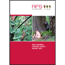 Grey squirrel control survey report 2021 – evidence – Royal Forestry Society