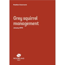 Grey squirrel management 2013 – position statement – Woodland Trust