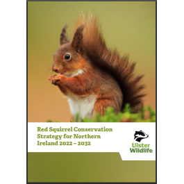 Red Squirrel Conservation Strategy for Northern Ireland 2022-2032 – strategy – Ulster Wildlife Trust