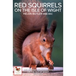 Red squirrel conservation on the Isle of Wight 1991-2020 (part 1) – research – Helen Butler Wight Squirrel Project