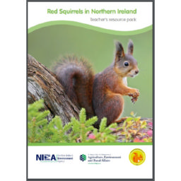 Red squirrels in Northern Ireland teacher’s resource pack 2017 – education – Northern Ireland Environment Agency