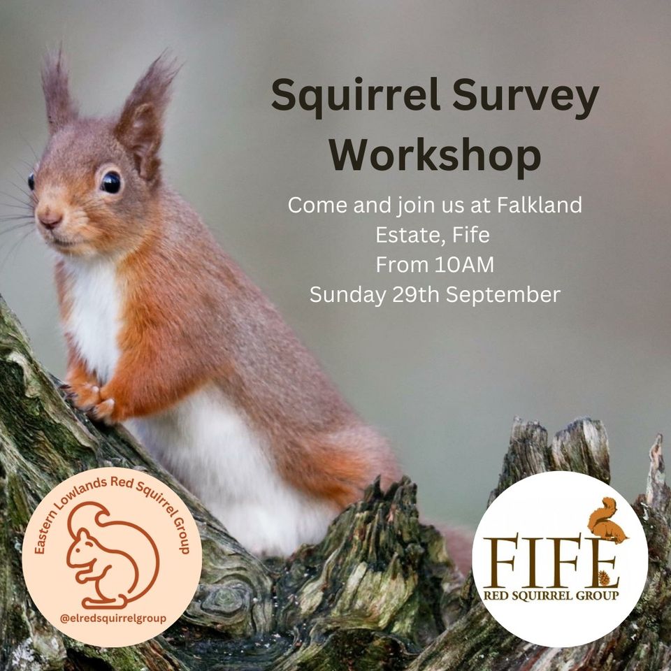 Squirrel Survey Workshop cover image