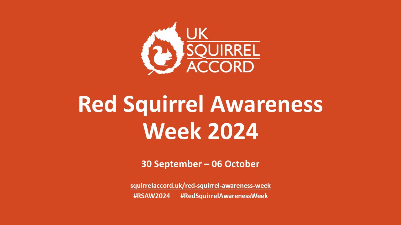 Red Squirrel Awareness Week communications pack