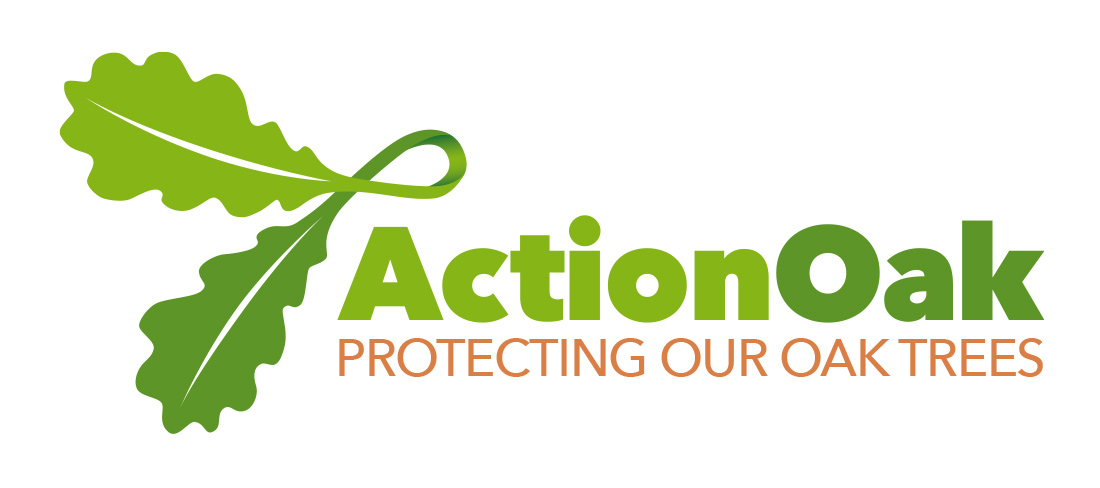 Action Oak logo