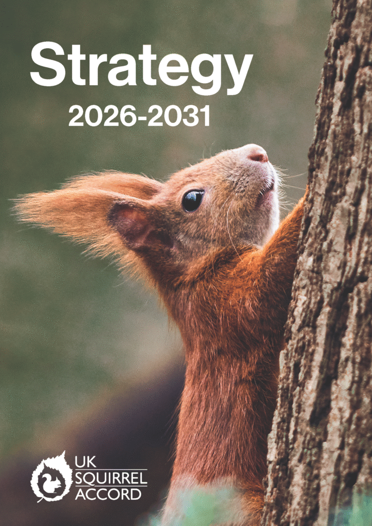 UK Squirrel Accord Startegy document front cover with a red squirrel on healthy tree bark