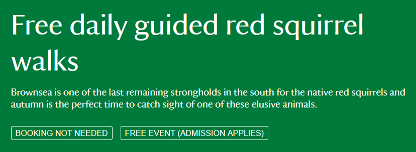 Free Daily Guided Red Squirrel Walks cover image