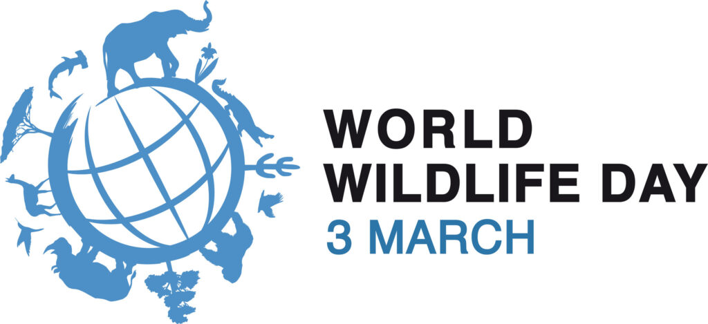 World Wildlife Day cover image